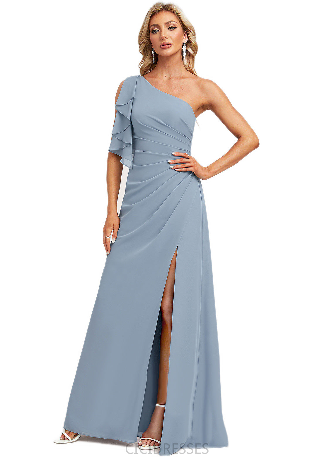 Melany A-line One Shoulder Floor-Length Chiffon Bridesmaid Dress With Ruffle CIC8P0022576