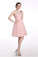 Tulle Pink Appliques Prom Dresses Homecoming Dress ED44