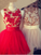 Round Neck Sleeveless Appliques Ball Gown Organza Flowers Short Homecoming Dresses