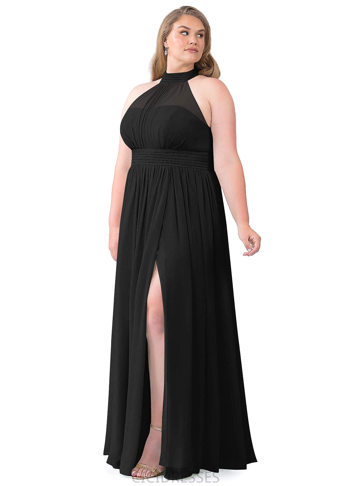 Raelynn Floor Length Natural Waist Sleeveless Scoop A-Line/Princess Bridesmaid Dresses