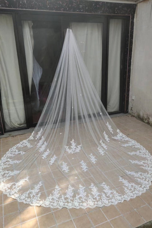 Beauty One Layer 3M Long Wedding Veils With Lace Appliques V0051