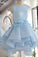 Sky Blue Homecoming Dress,A-line Satin Organza Short Flowers Original Prom Dresses,Mini Dress,N131
