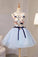 Vintage Light Blue Flower Short Princess Homecoming Dress Party Dresses, Mini Dress N2178