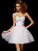 A-Line/Princess Sweetheart Sleeveless Beading Short Organza Homecoming Dresses CICIP0008421