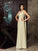A-Line/Princess One-Shoulder Applique Sleeveless Long Chiffon Mother of the Bride Dresses CICIP0007229