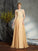 A-Line/Princess Scoop Applique Sleeveless Long Chiffon Mother of the Bride Dresses CICIP0007368