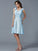 A-Line/Princess Straps Sleeveless Pleats Short Chiffon Bridesmaid Dresses CICIP0005641
