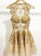 A-Line/Princess Bateau Sleeveless Tulle Applique Short/Mini Dresses CICIP0008199