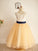 A-Line/Princess Sleeveless Tulle Lace Scoop Floor-Length Flower Girl Dresses CICIP0007895