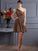 A-Line/Princess One-Shoulder Sleeveless Pleats Short Chiffon Bridesmaid Dresses CICIP0005105