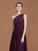 A-line/Princess One-Shoulder Lace Chiffon Sleeveless Floor-Length Bridesmaid Dresses CICIP0005725