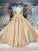 Stunning Ball Gown Long Sleeves Prom Dress, Pretty Long Sleeve Quinceanera Dresses N2244